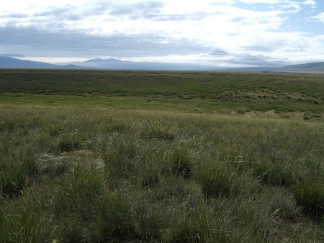  2006:09:03 22:03:11   Overview of Beach Ridges - East Side of Lake c.jpg